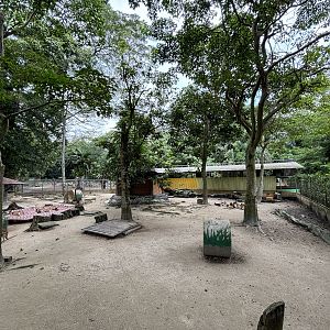 Agile Wallaby Exhibit #2