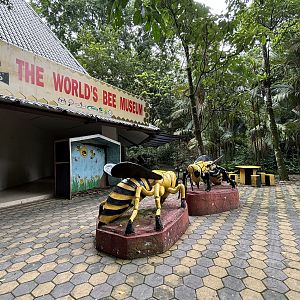 Bee Museum