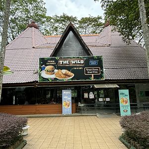 The Wild - restaurant