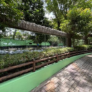 Asiatic Black Bear/Brown Bear Rotational Exhibit