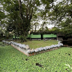 Asiatic Black Bear/Brown Bear Rotational Exhibit