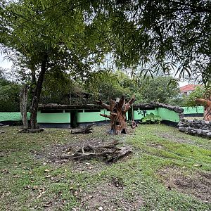 Sun Bear Exhibits #1 + #2