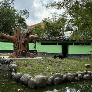 Sun Bear Exhibit