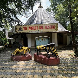 Bee Museum