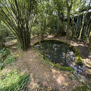 False Gharial Exhibit #2