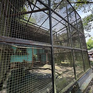 Small-clawed Otter Exhibit