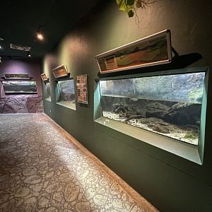 Aquarium