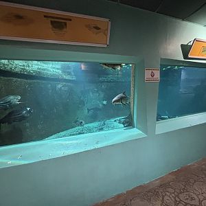 Aquarium