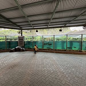 River Giants Exhibit (ex-Sea Lion exhibit)