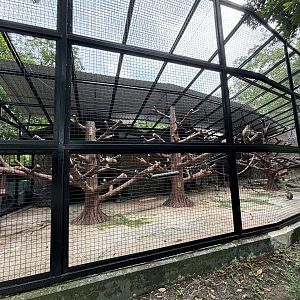 Bonnet Macaque Exhibit #2
