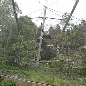 Bearded vulture (/alpine marmot) aviary