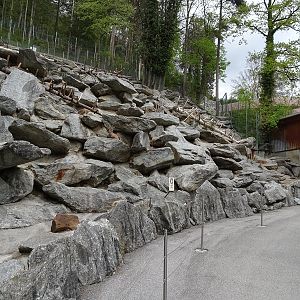 Alpine ibex enclosure