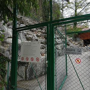 Alpine ibex enclosure