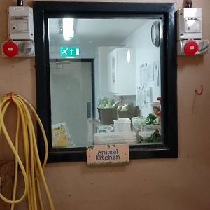 Animal Food Prep Room in Giraffe House