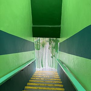 KL Butterfly Park - entrance stairs