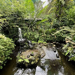 KL Butterfly Park - turtle pool