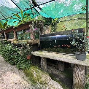 KL Butterfly Park - fish tanks