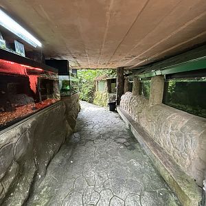 KL Butterfly Park - fish tanks