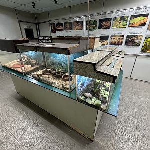 KL Butterfly Park - insect room