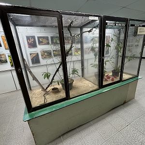 KL Butterfly Park - insect room