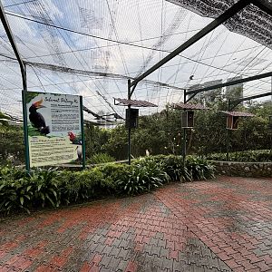 Entrance Aviary