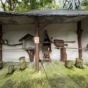 7 owls tied to branches