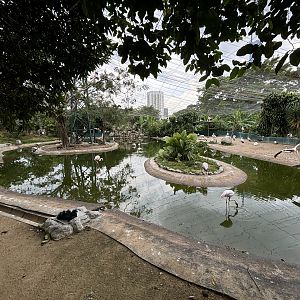Flamingo Aviary