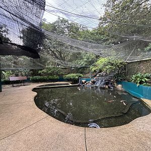 Koi Pond + Walk-through Aviary