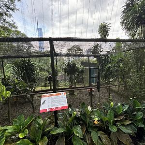 Black Hornbill Aviary