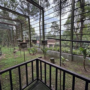 World of Parrots Aviary (walk-through)