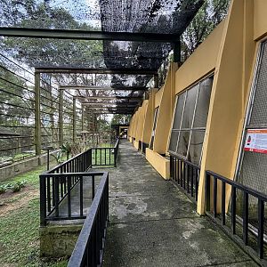 World of Parrots Aviary (walk-through)