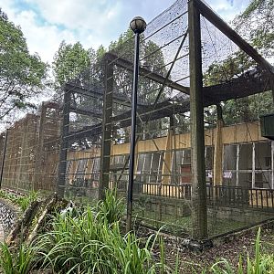 World of Parrots Aviary (walk-through)