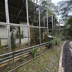 Oriental Bird Aviaries