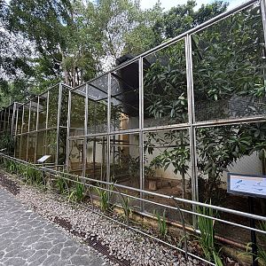 Oriental Bird Aviaries