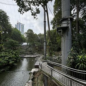 Waterfall Aviary