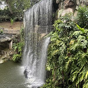 Waterfall Aviary
