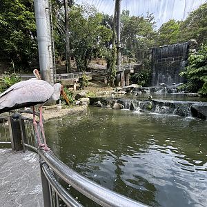 Waterfall Aviary