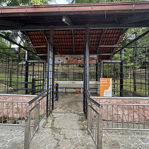 Ostrich Feeding Station