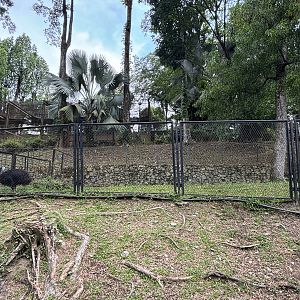 Cassowary Exhibit