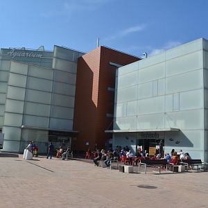 Outside of the aquarium