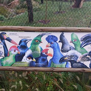 signage Gora ark aviary