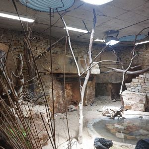 Hyrax, bird & tortoise exhibit