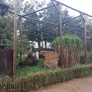 African crowned eagle aviary
