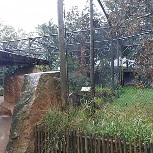 Ground hornbill aviary