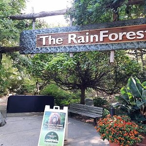 Sign of the past, Sign of the future