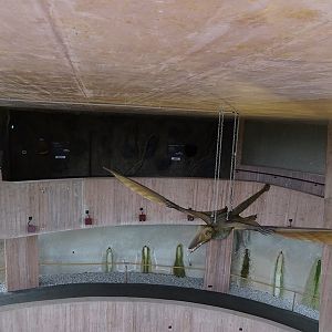 'Fuchs Dachs und Freunde' building