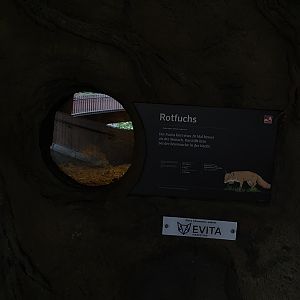 Red fox indoor enclosure / burrow