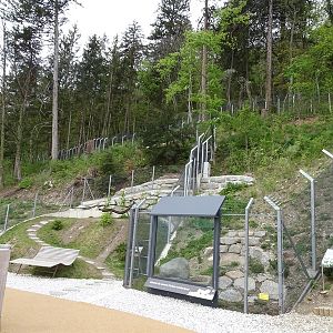 Red fox and badger enclosures