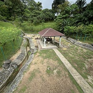 KL Deer Park - Javan Rusa Deer Exhibit