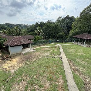 KL Deer Park - Javan Rusa Deer Exhibit